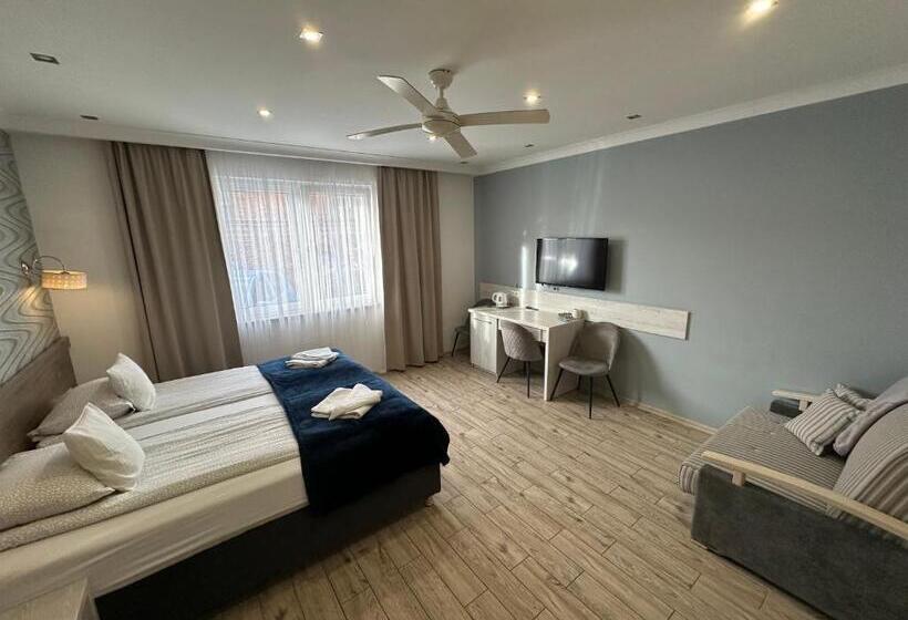 بنسيون Maximus