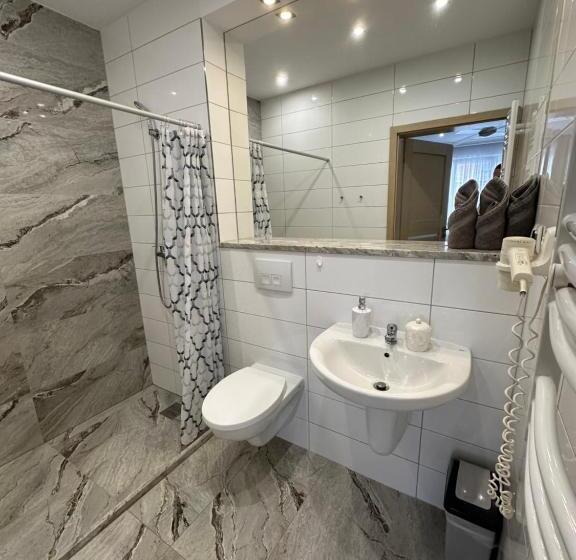 بنسيون Maximus