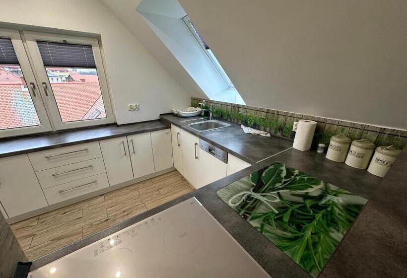 بنسيون Maximus