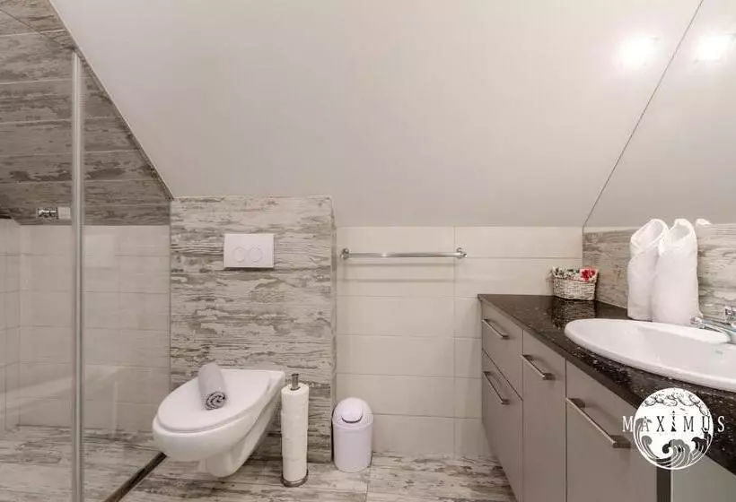 ペンション Maximus