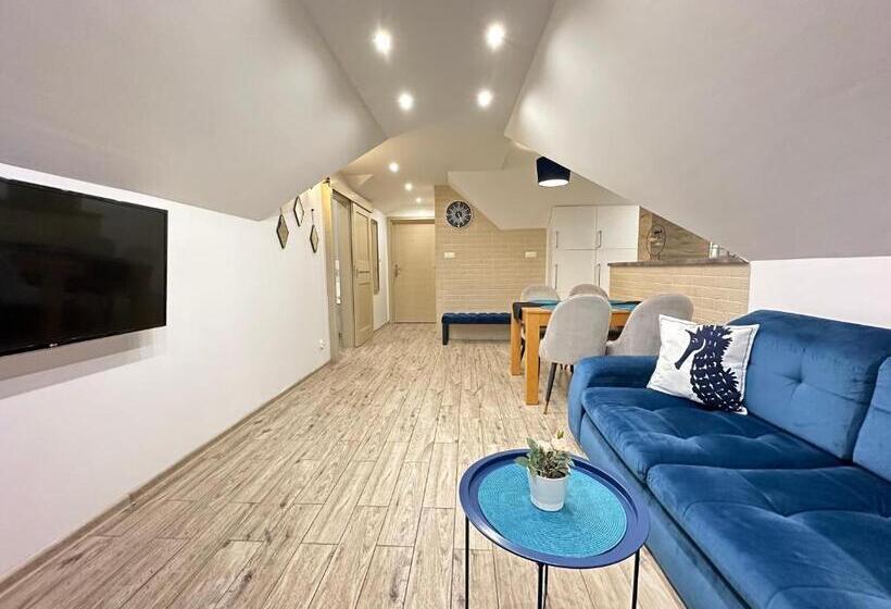 بنسيون Maximus