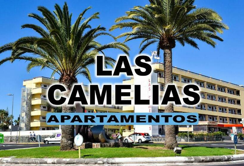 Las Camelias Apartments
