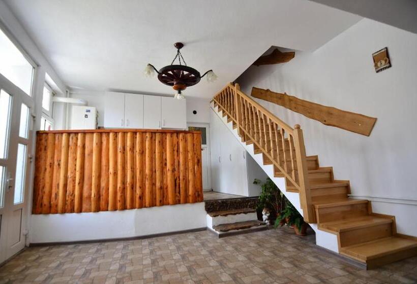 Пансион Casa Cu Magnolii