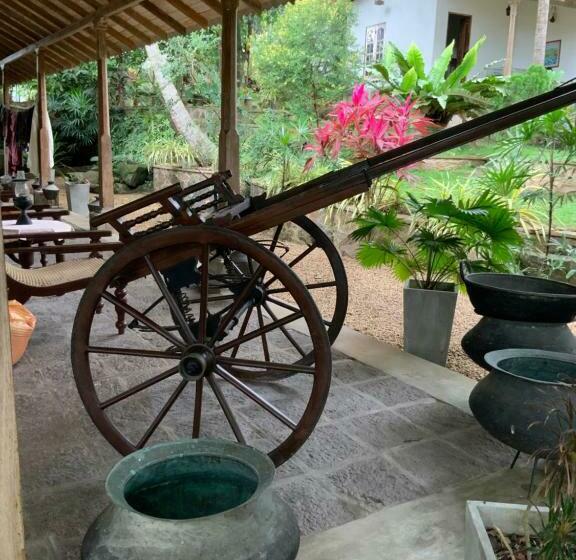 Pension Lali Villa & Fruit Garden