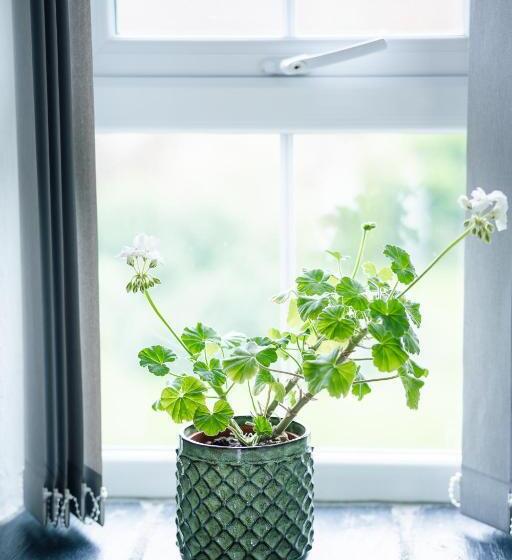 פנסיון Stone Barn