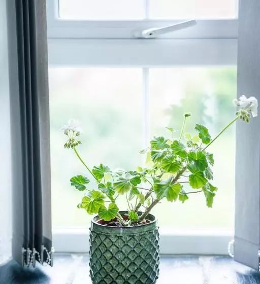 ペンション Stone Barn