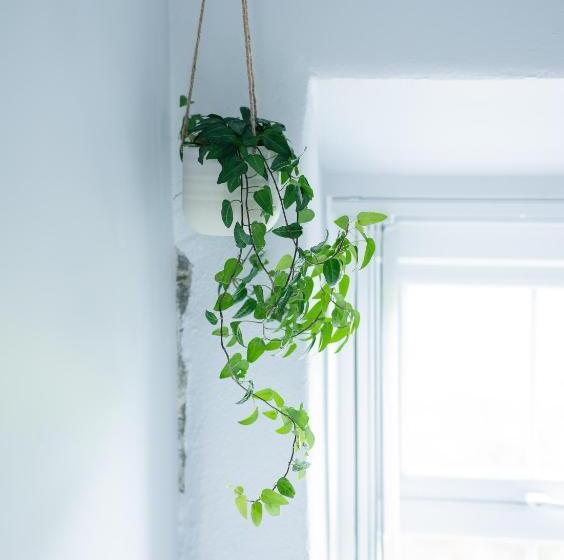 פנסיון Stone Barn