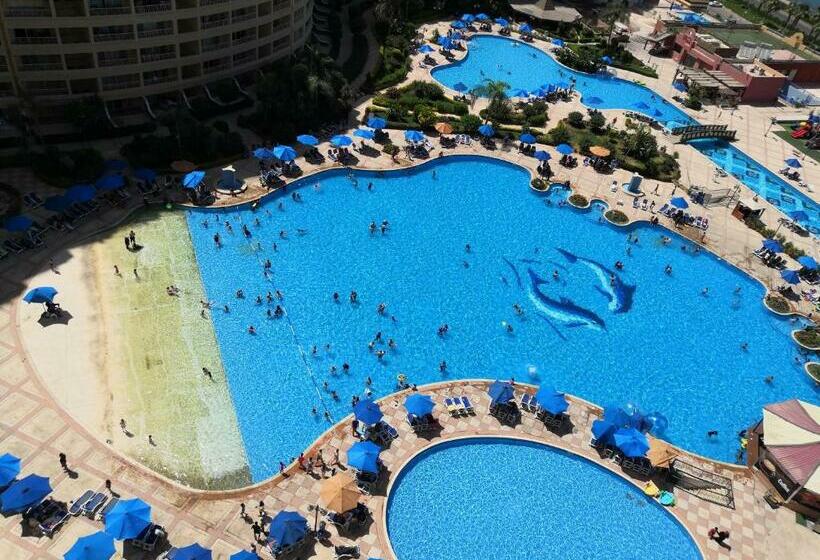 Pirameds Porto For Family Only