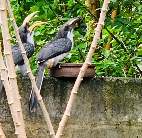 Majatalo Change Badulla