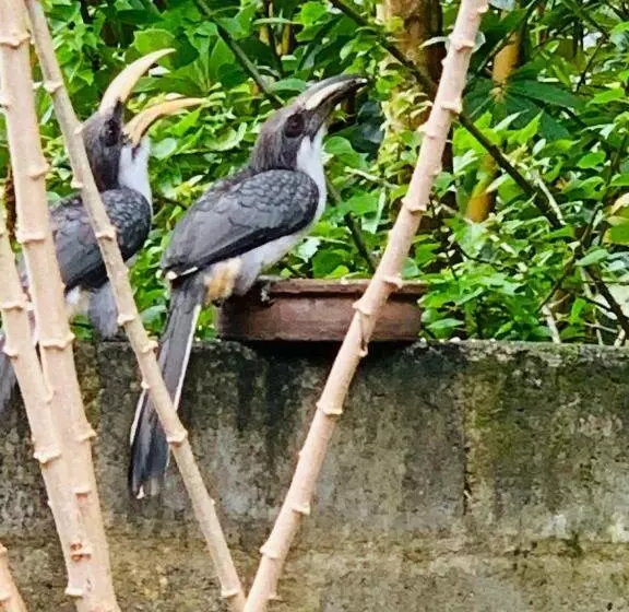 Pensione Change Badulla