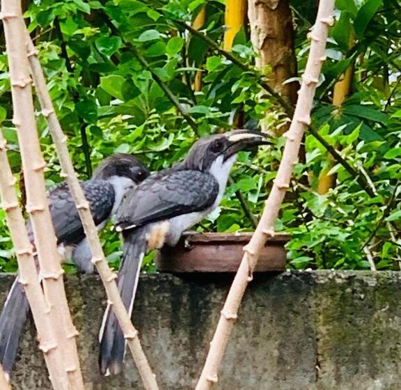 Majatalo Change Badulla