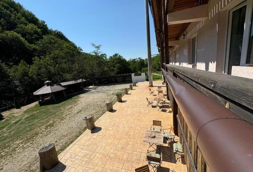 Pensjonat Conacul Vanatorului Borlova Muntele Mic Enduro Base