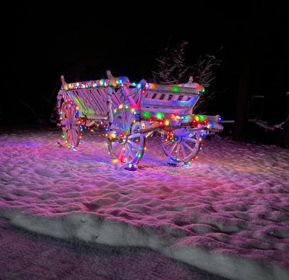 Pensjonat Conacul Vanatorului Borlova Muntele Mic Enduro Base