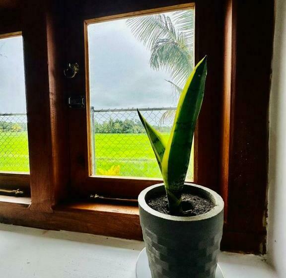 펜션 Hidden Leaf Anuradhapura