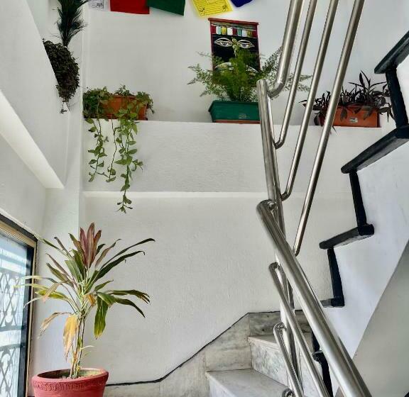 هاستل Yatri Backpackers Home