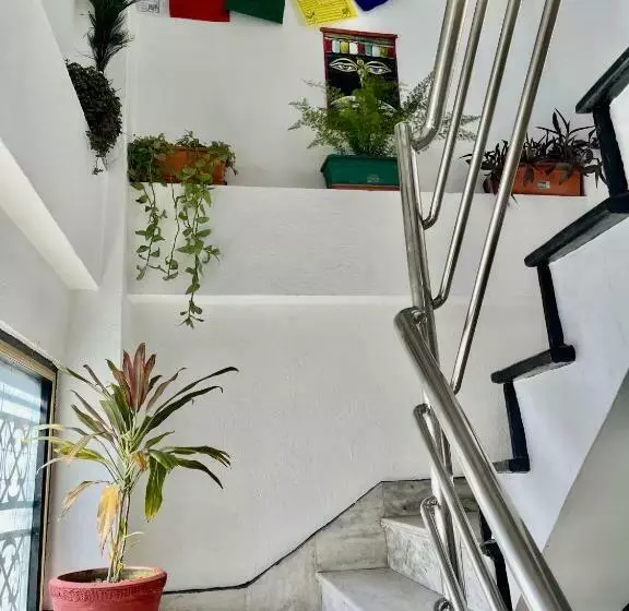 هاستل Yatri Backpackers Home