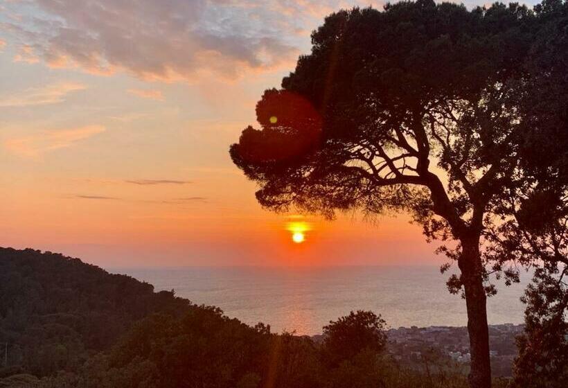 تختخواب و صبحانه Villa Gemma