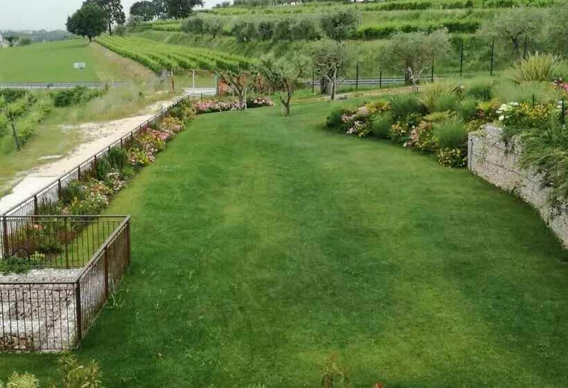 ホテル Agriturismo La Rondinella