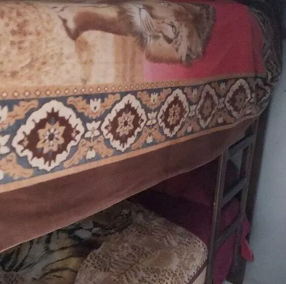 پانسیون El Hijo Del Sol