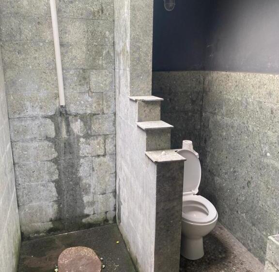 Paca S Reggae Bar & Hostel