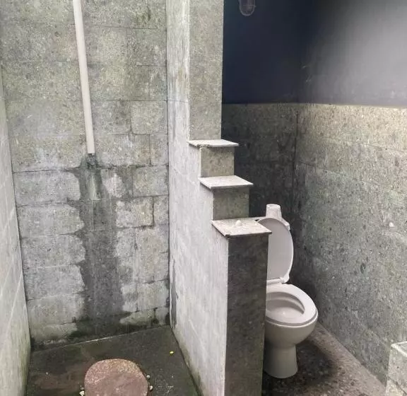 Paca S Reggae Bar & Hostel