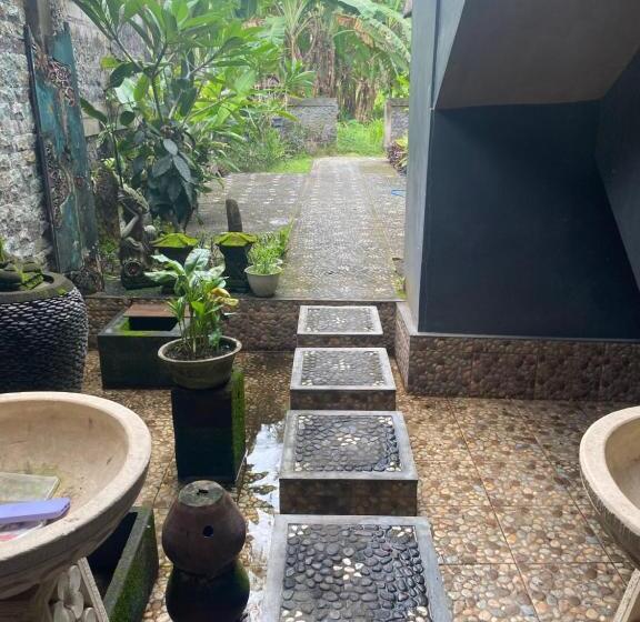 Paca S Reggae Bar & Hostel