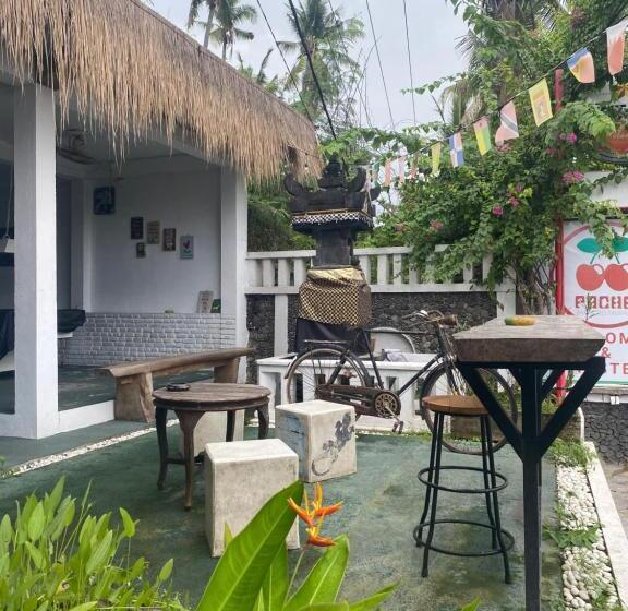 Paca S Reggae Bar & Hostel