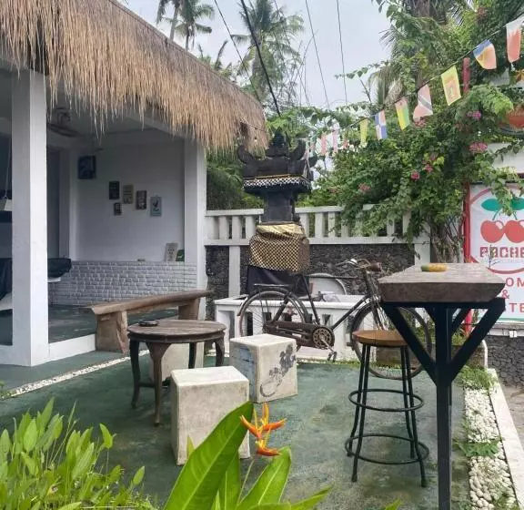 Paca S Reggae Bar & Hostel