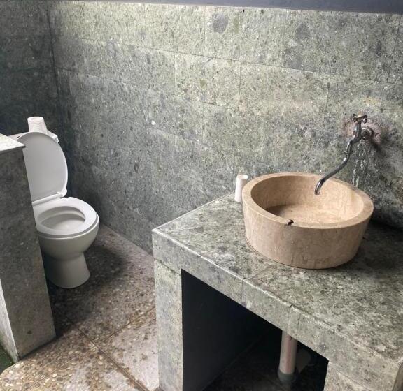 Paca S Reggae Bar & Hostel