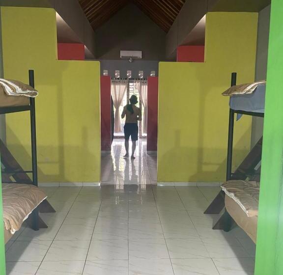 Paca S Reggae Bar & Hostel