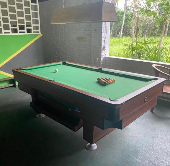 Paca S Reggae Bar & Hostel