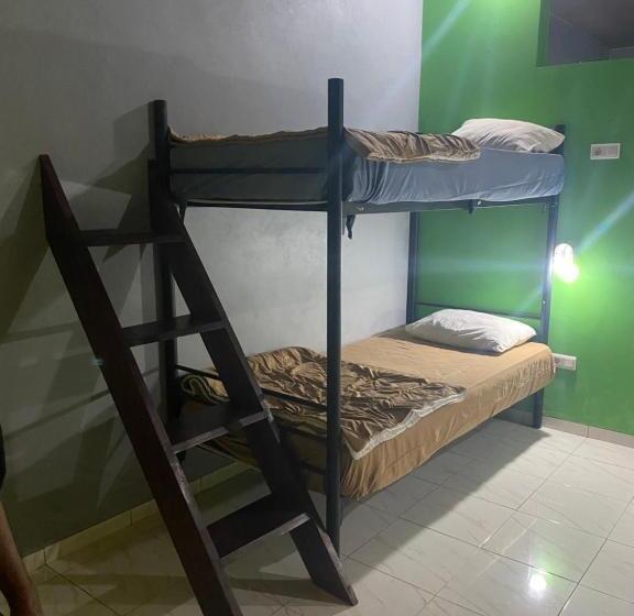 Paca S Reggae Bar & Hostel