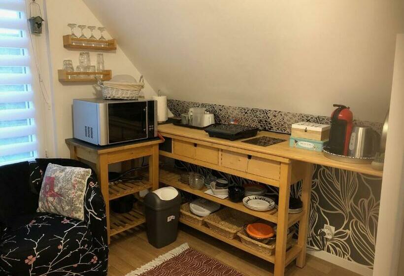 פנסיון Chambre Studio De Saint Louis