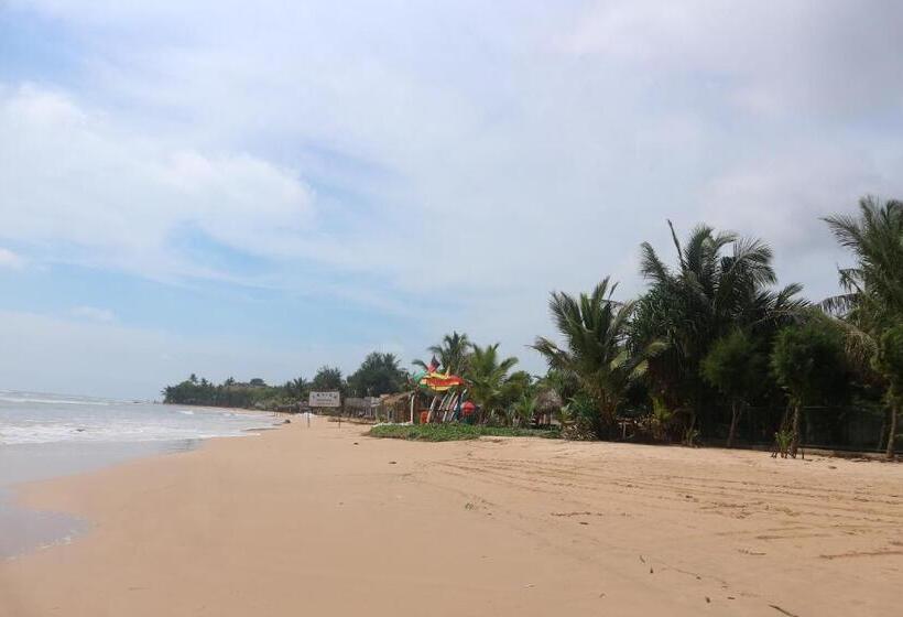 住宿加早餐 Mango Tree House