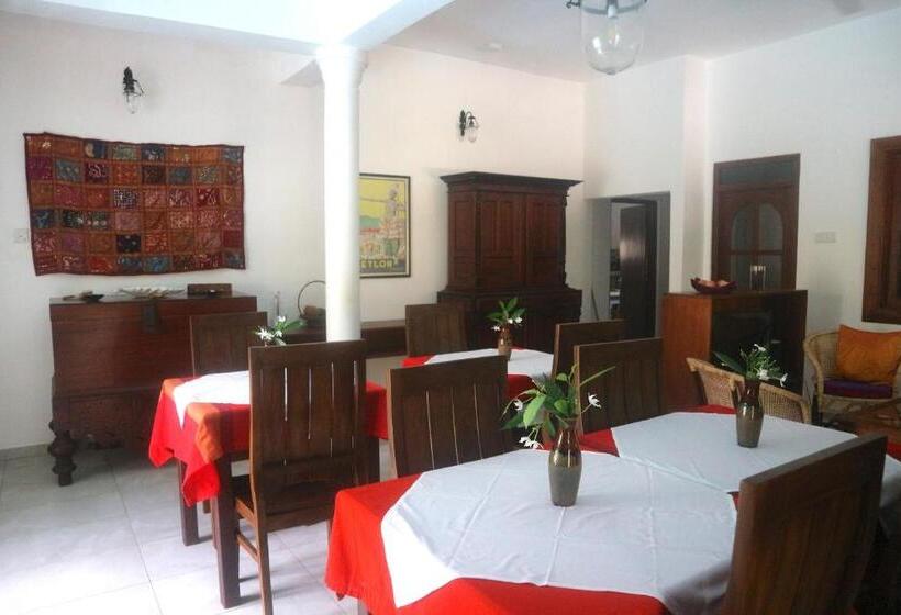 住宿加早餐 Mango Tree House