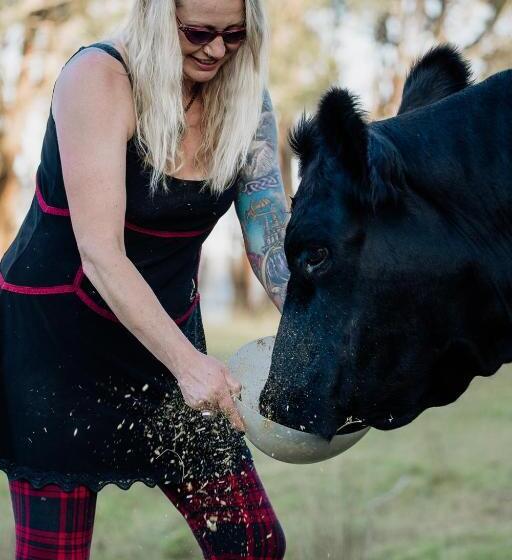 Galahad S Animal Sanctuary B&b