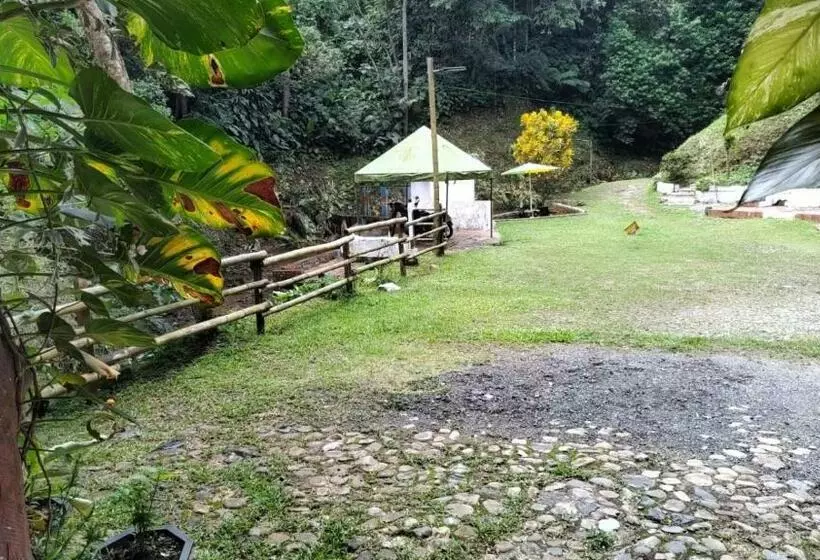 ホテル Taboga Rio Claro