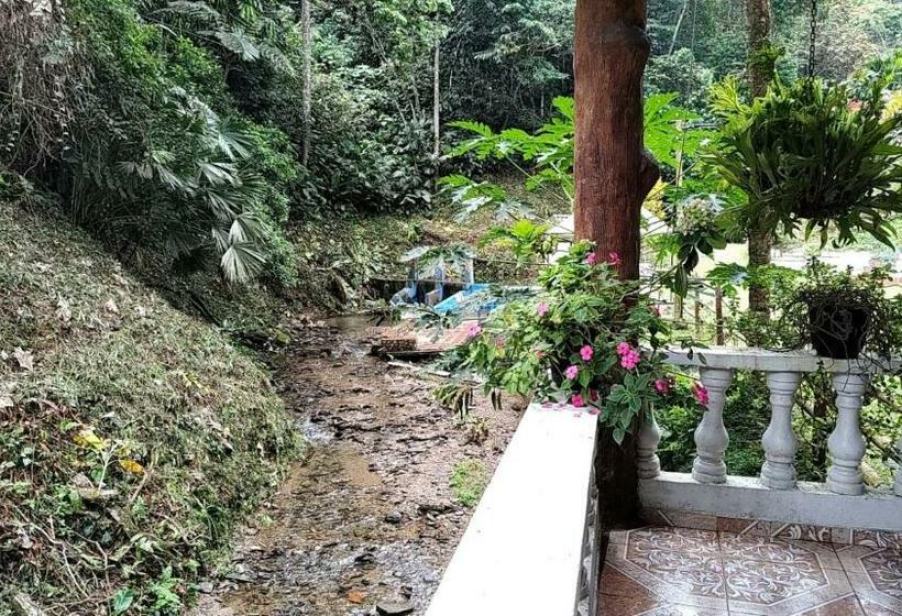 בית מלון כפרי Taboga Rio Claro