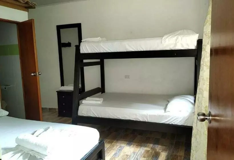 ホテル Taboga Rio Claro