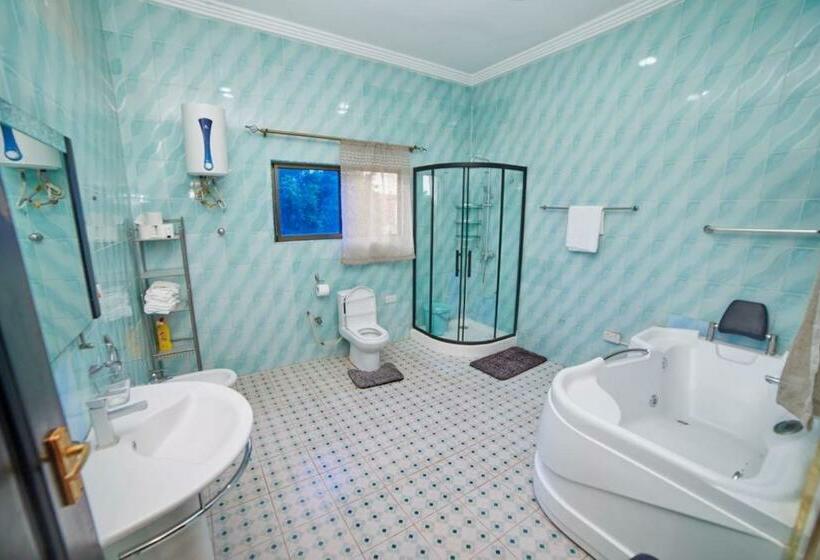 פנסיון Afranasa Inn