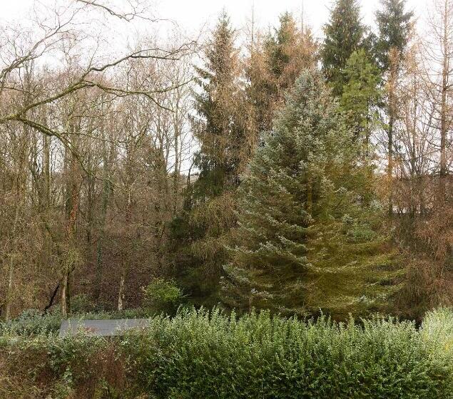 旅馆 Handwerks Loft