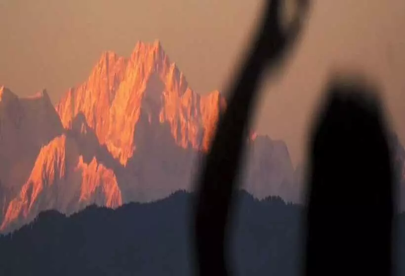 Amaira Resort & Farms   Mirik, West Bengal