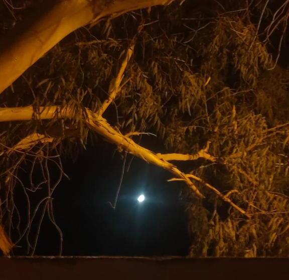 تختخواب و صبحانه A&s House