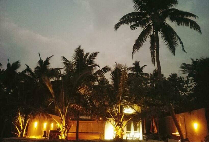 Bed and Breakfast Havana Beach Villa