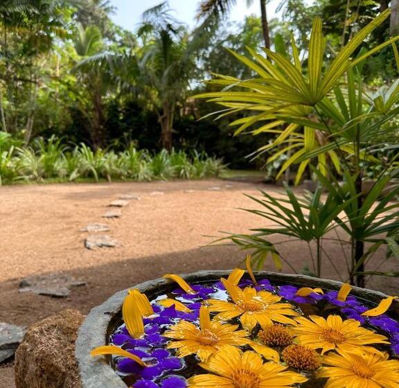 צימר Midigama Inn