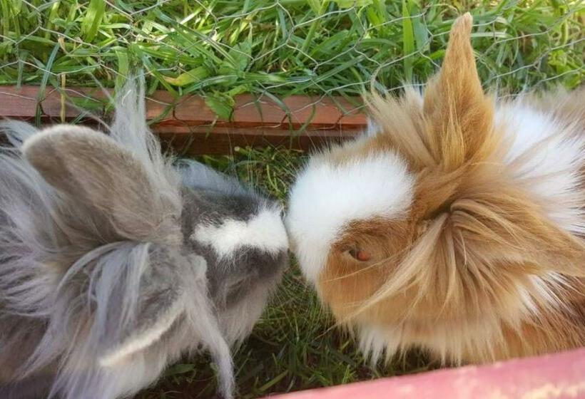 צימר Nyilas Wellness Resort Sóstó