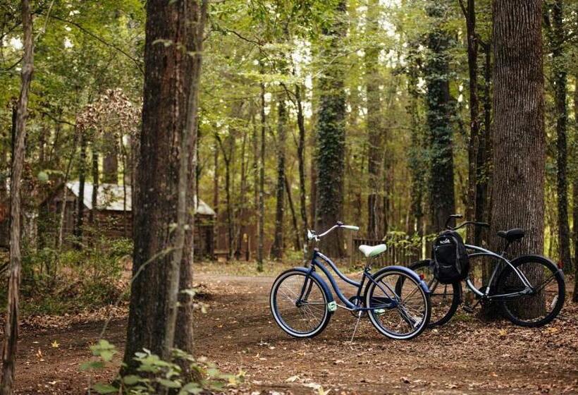 Bed and Breakfast The Bird & Butterfly Inn