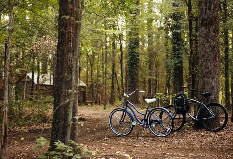 Aamiaismajoitus (B&B) The Bird & Butterfly Inn