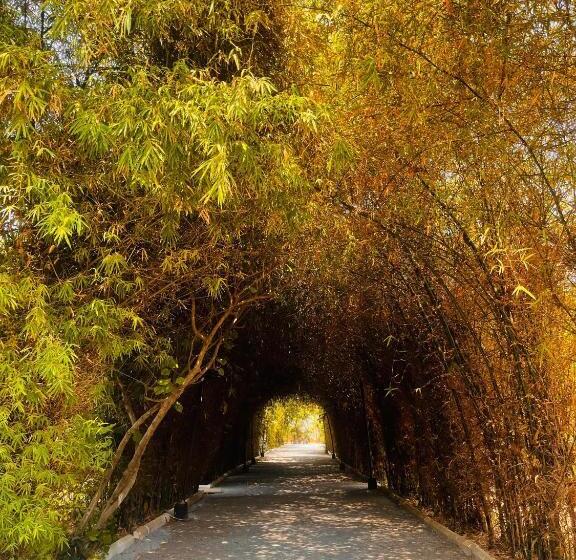 Farm Stay Resort   Shamirpet, Hyderabad