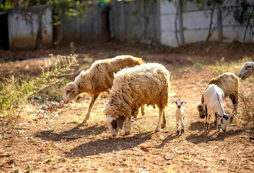 Farm Stay Resort   Shamirpet, Hyderabad